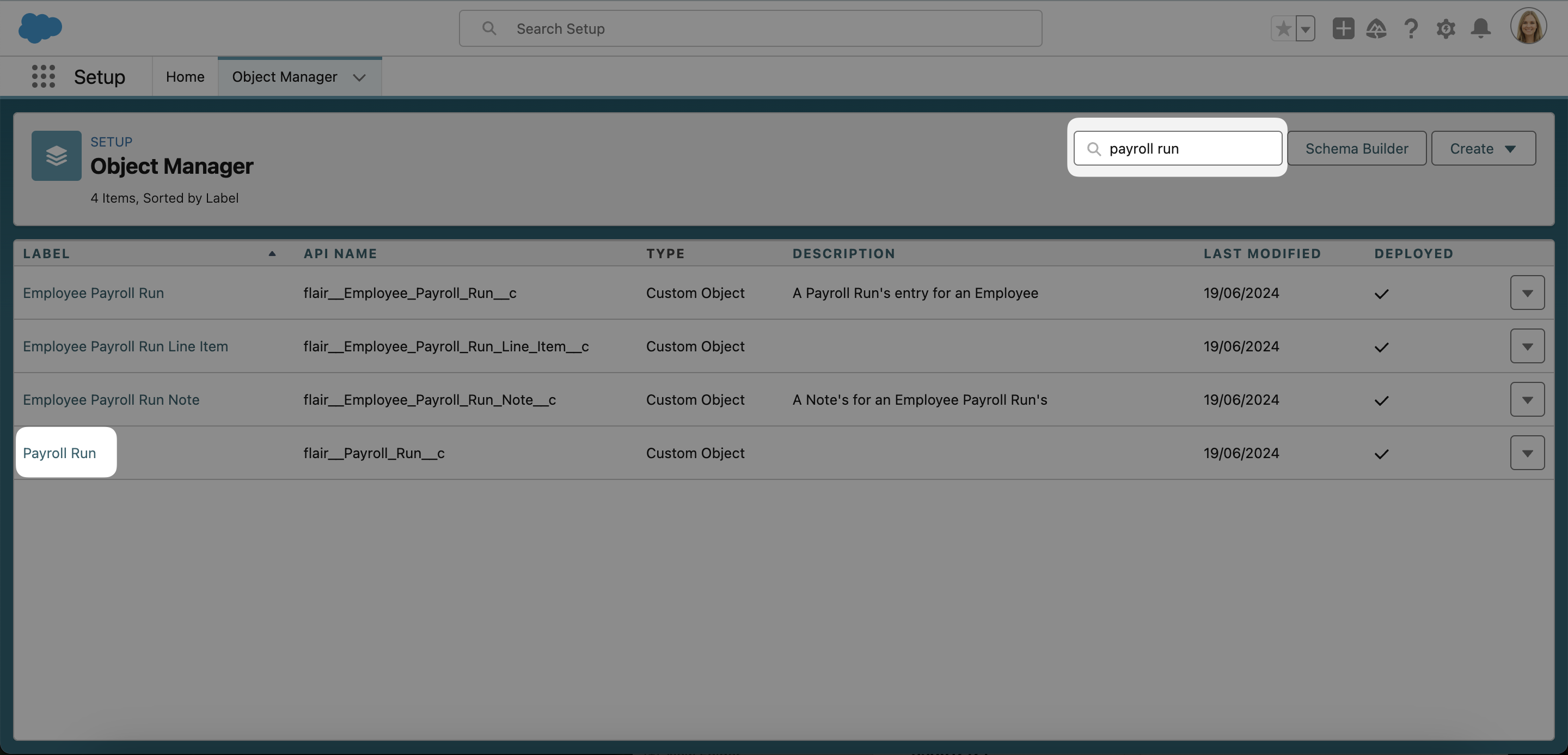 Find Payroll Run in the Salesforce Object Manager