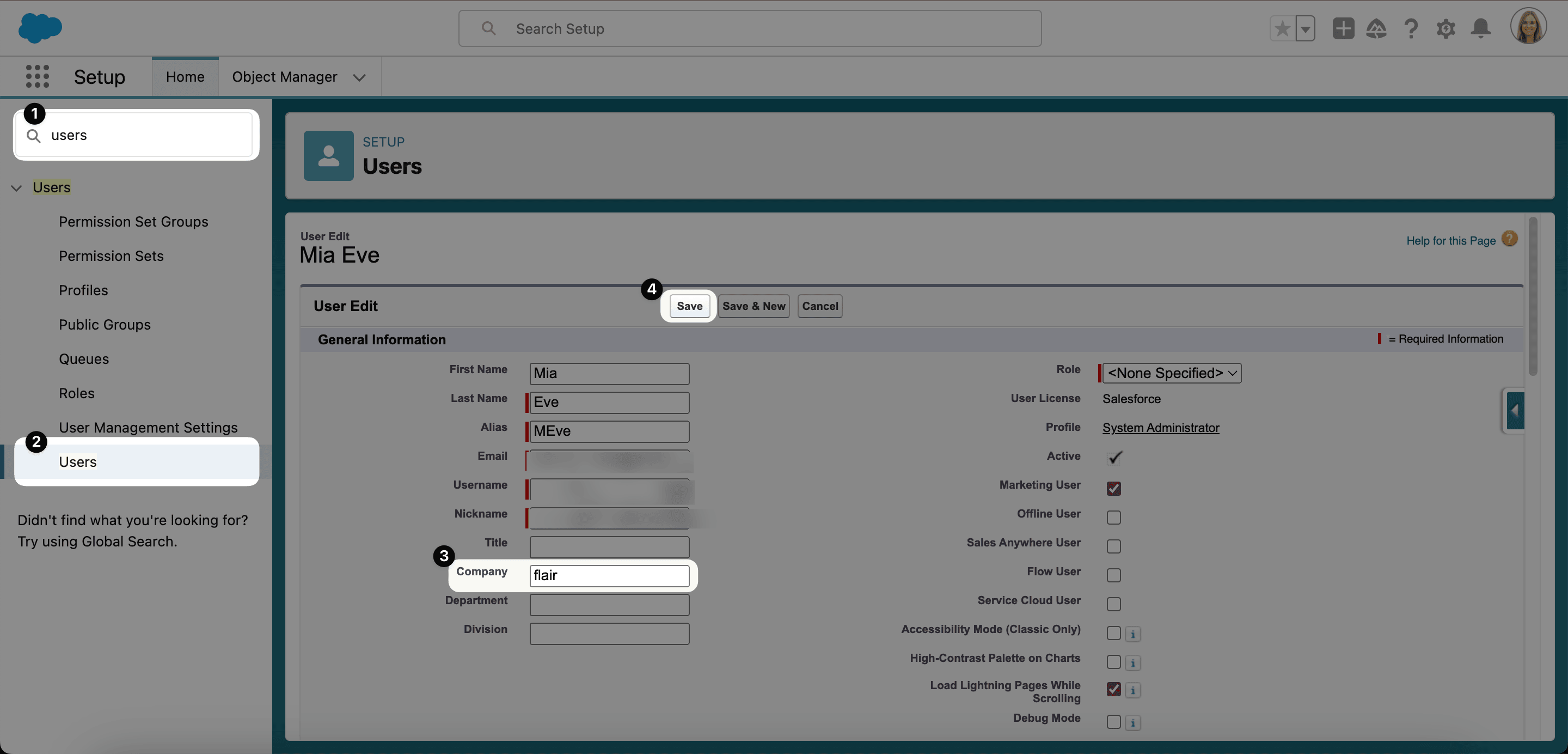 Company field on a Salesforce user profile