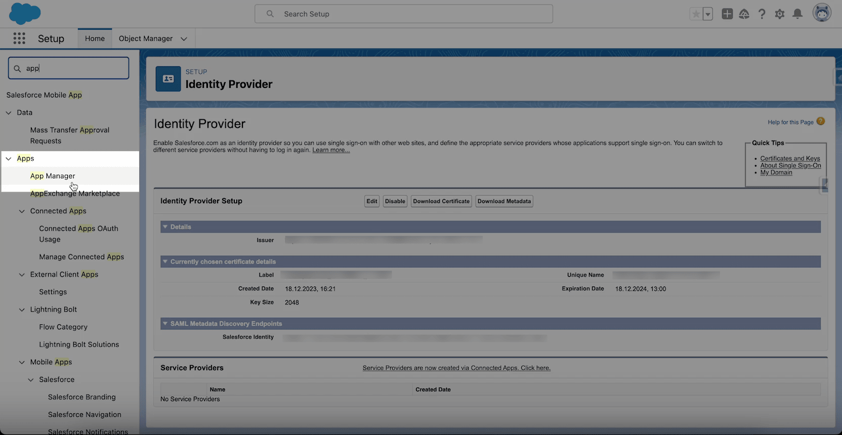 App Manager search result in Salesforce Setup