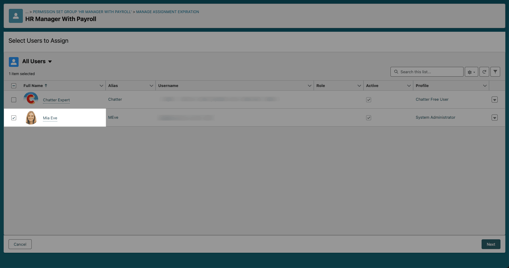 User and expiration settings for a permission set group assignment