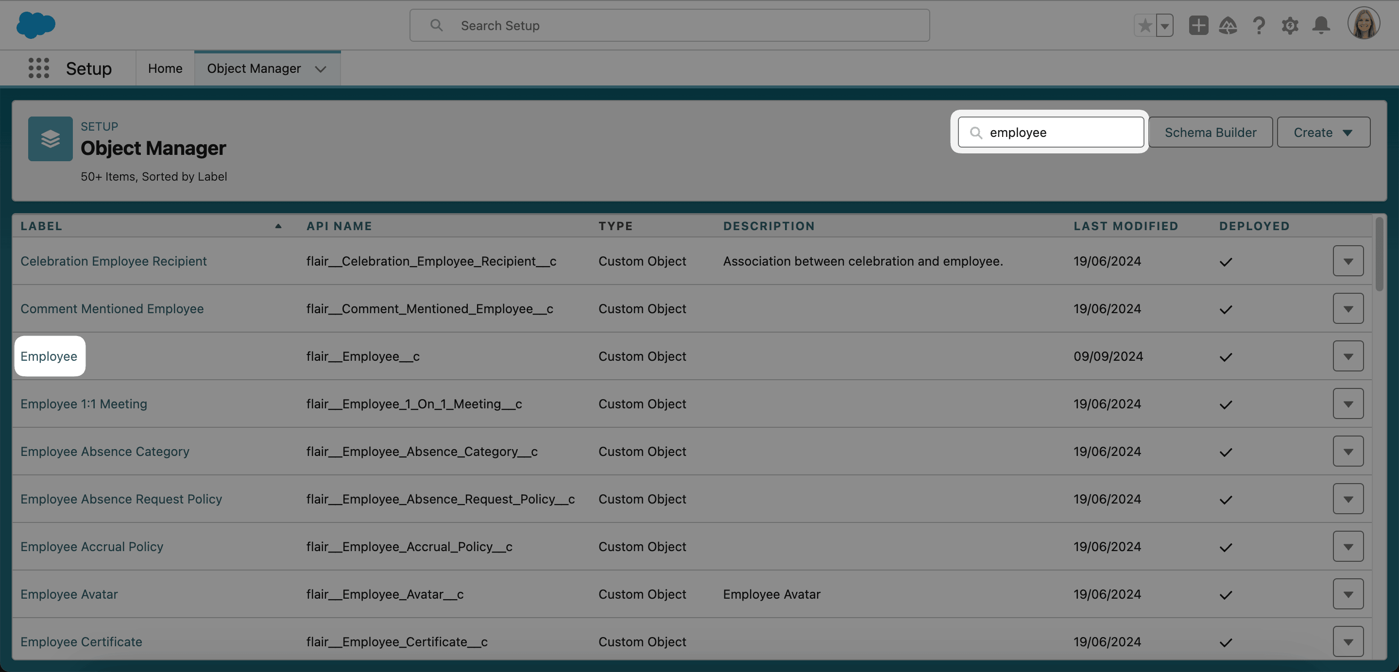 Employee custom object in Salesforce Object Manager