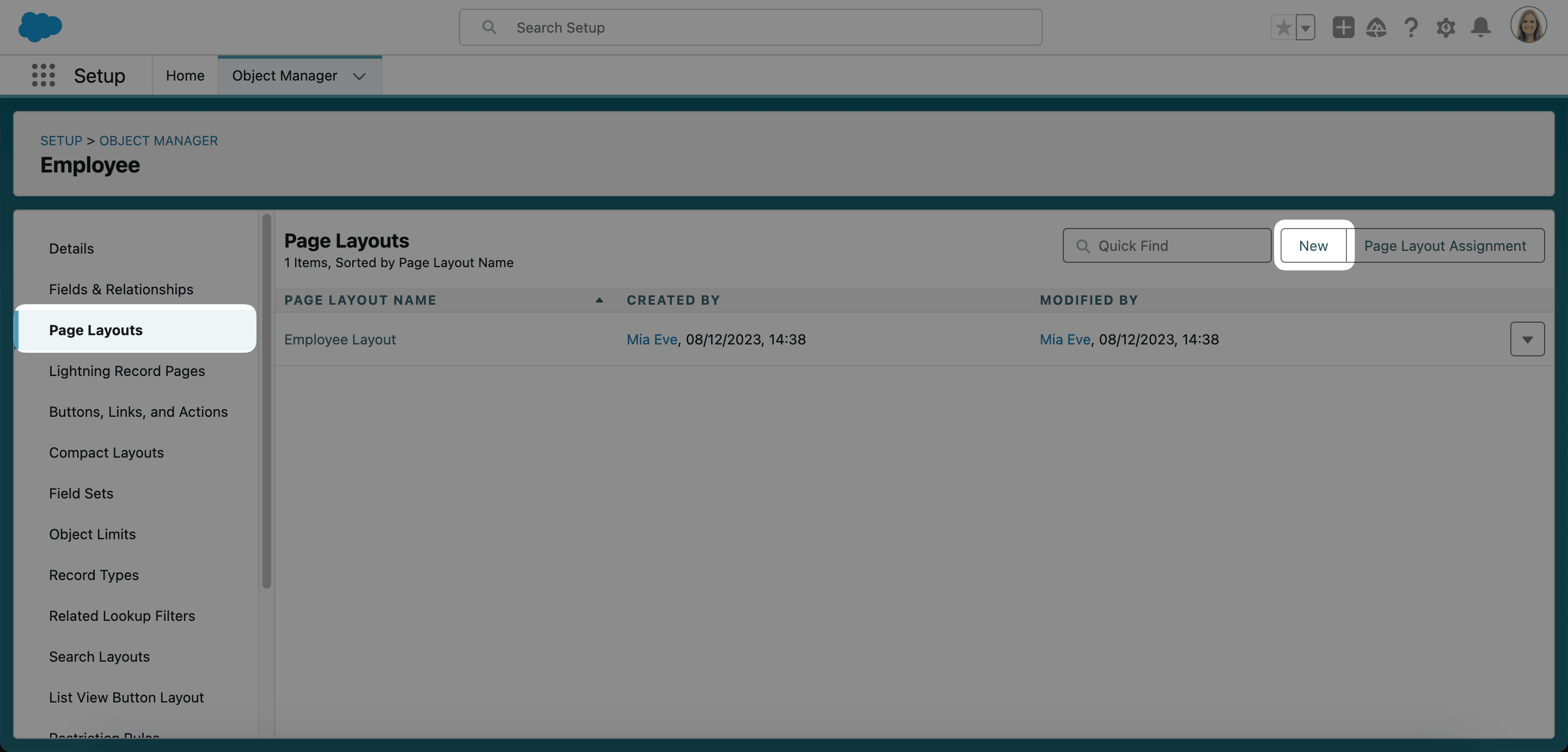 New action on the Employee Page Layouts page