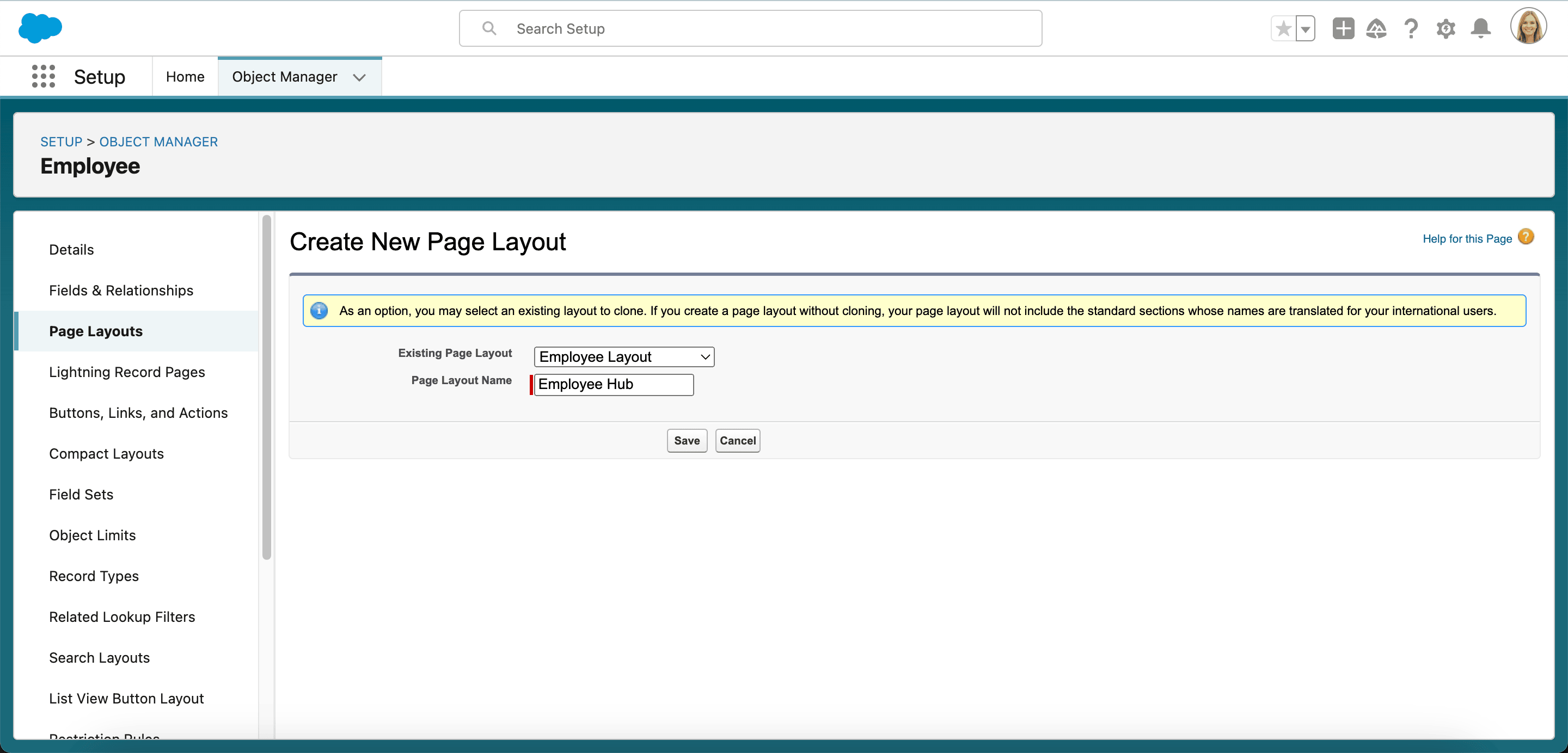 Employee Hub page layout name for the employee view