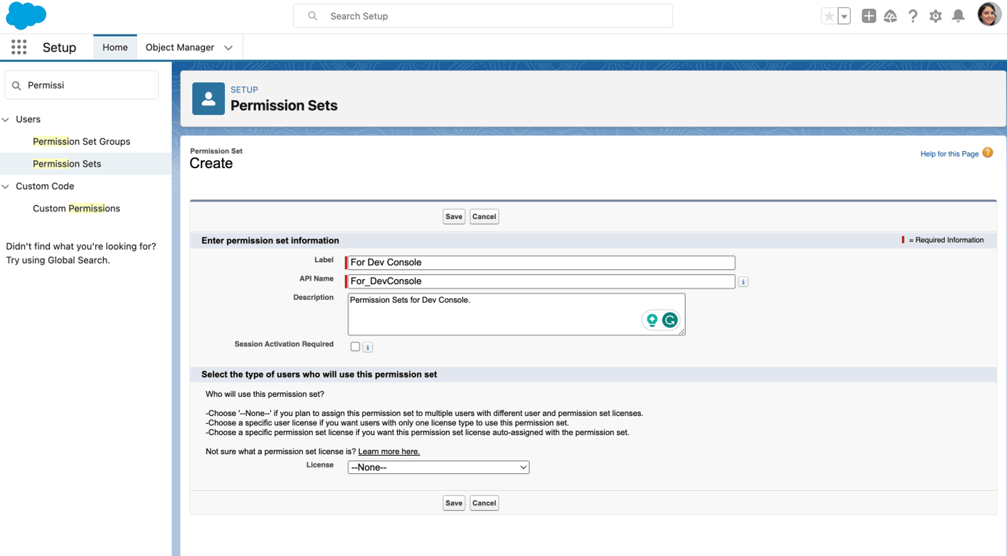 Permission set details for Developer Console access