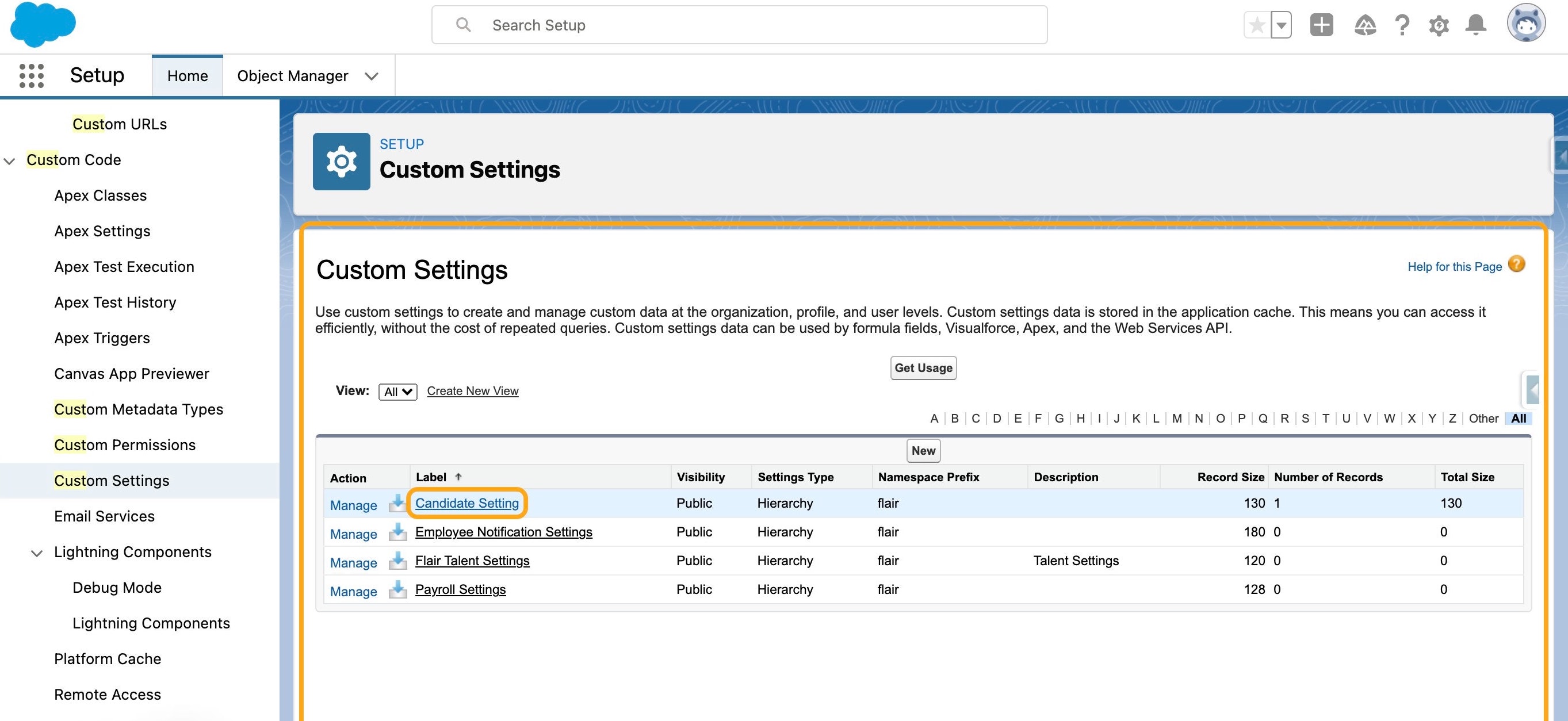 Candidate Setting in Salesforce Custom Settings