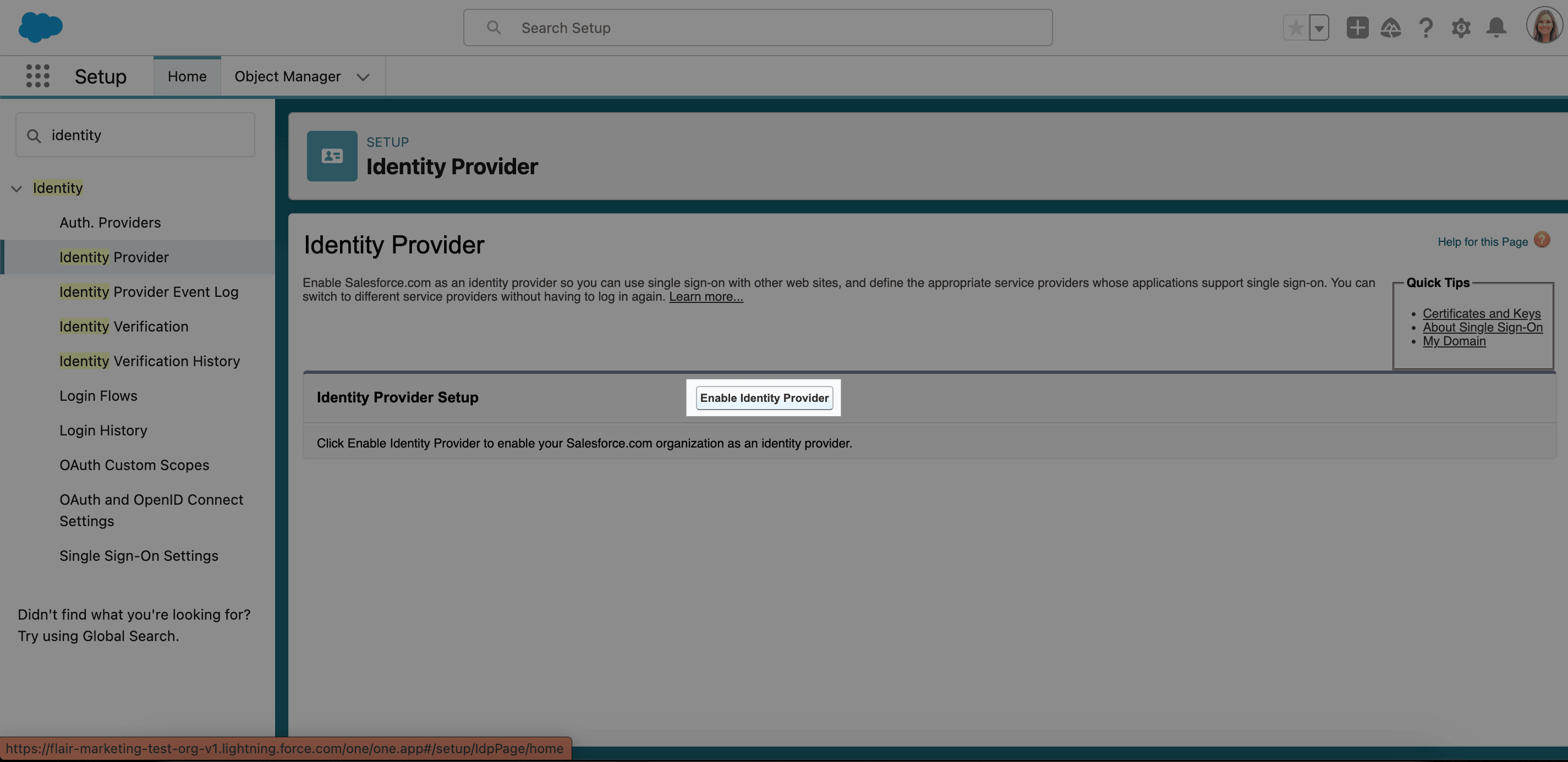 Enable Identity Provider action in Salesforce