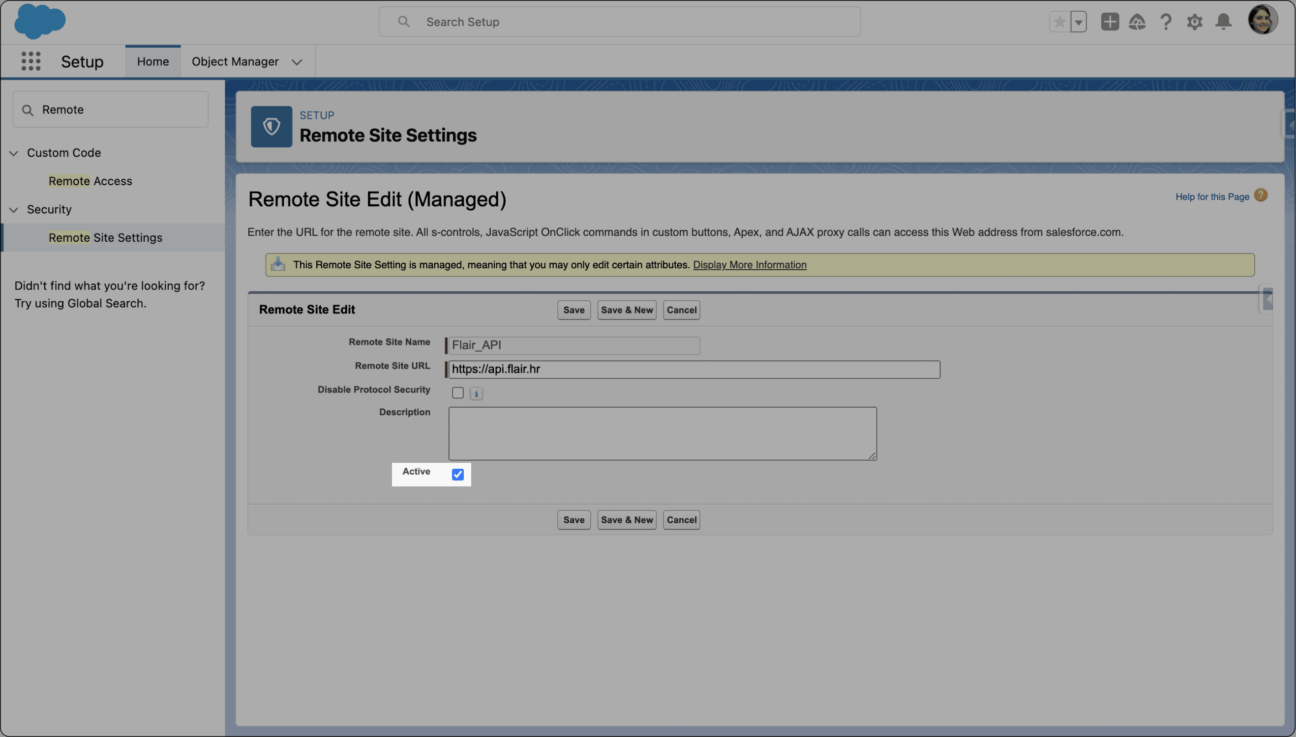 Active setting for the Flair API remote site