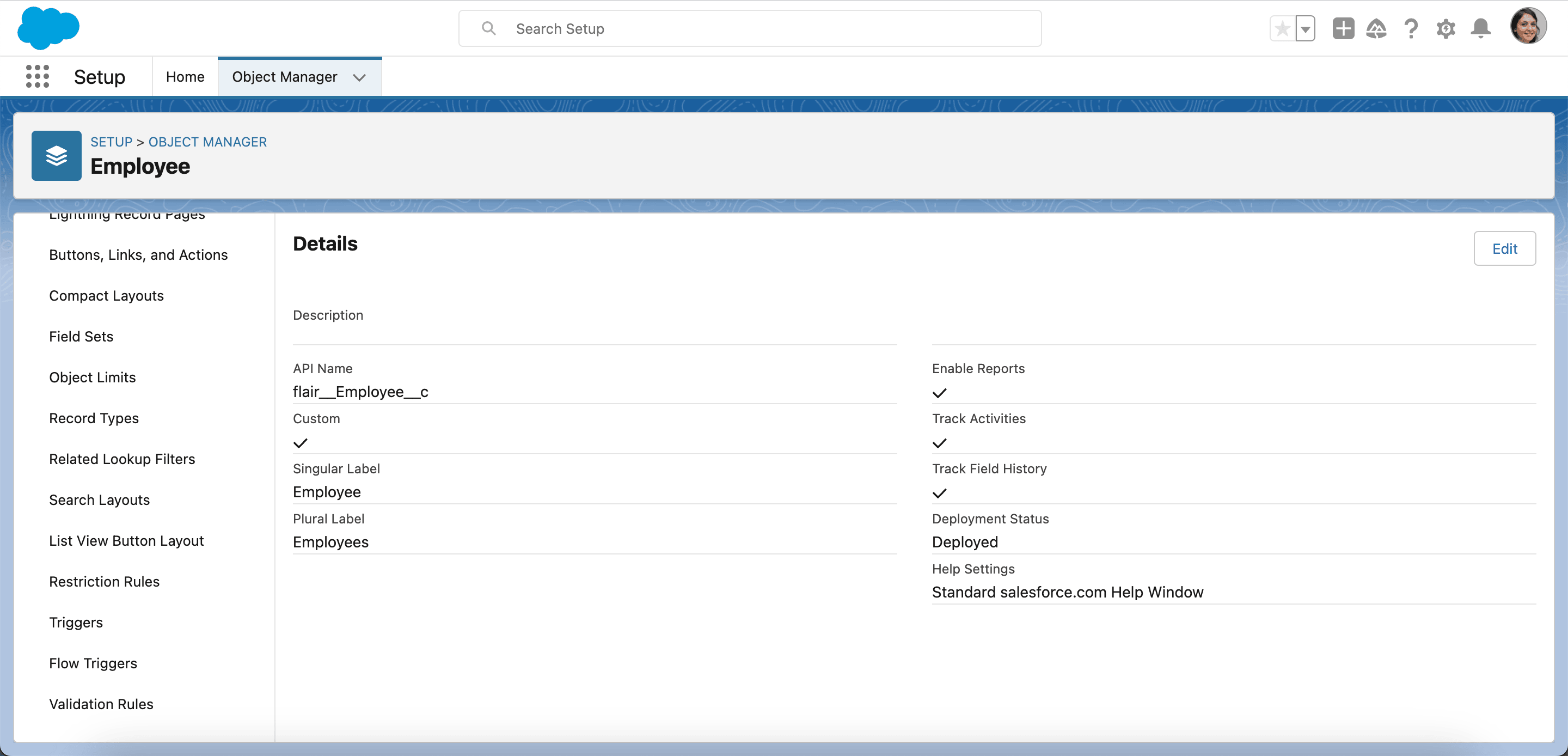 Flow Triggers option for the Employee object