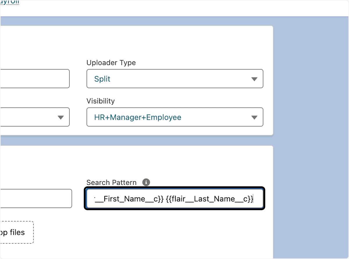 Search Pattern field for splitting a payroll file