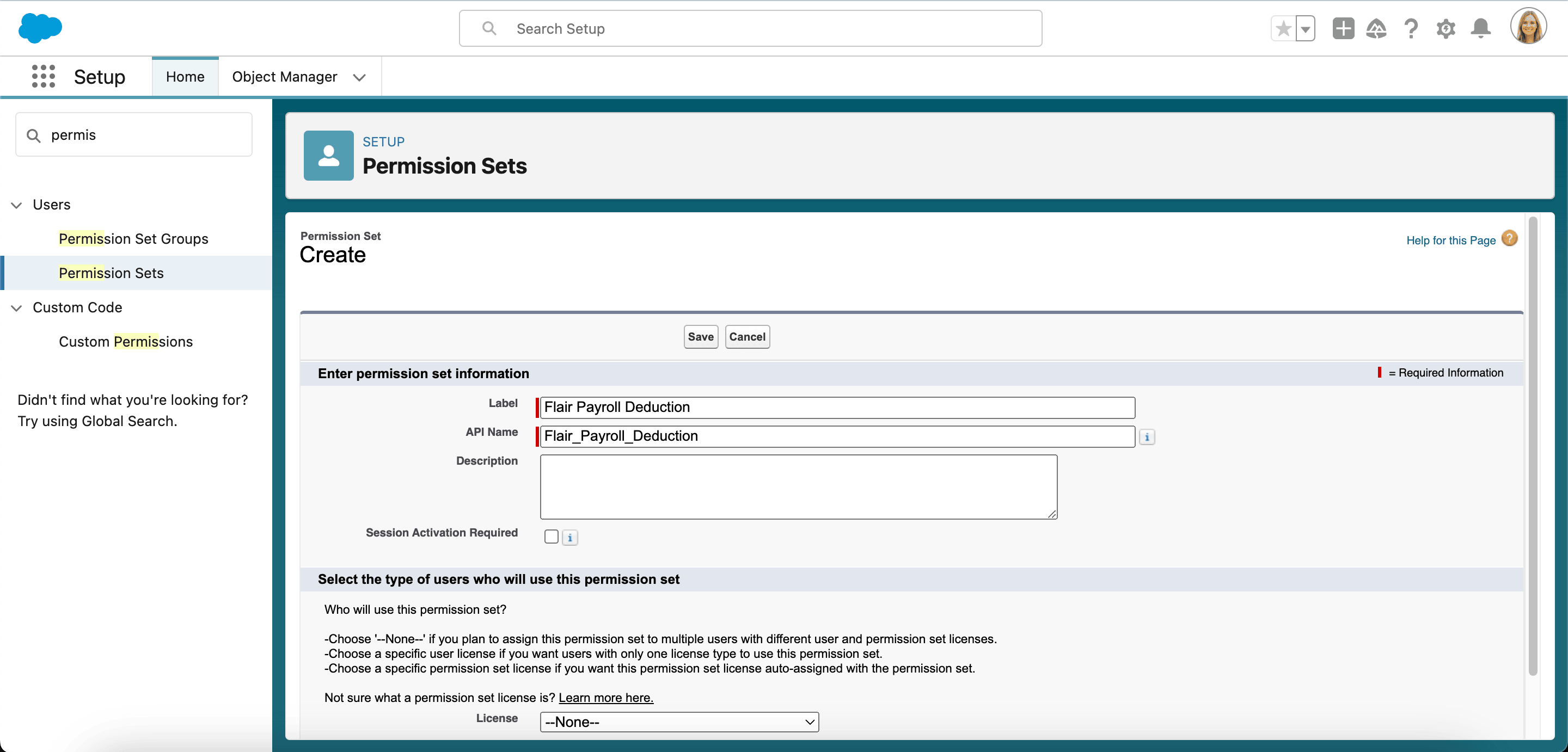 Permission set for the locked Payroll Run custom permission