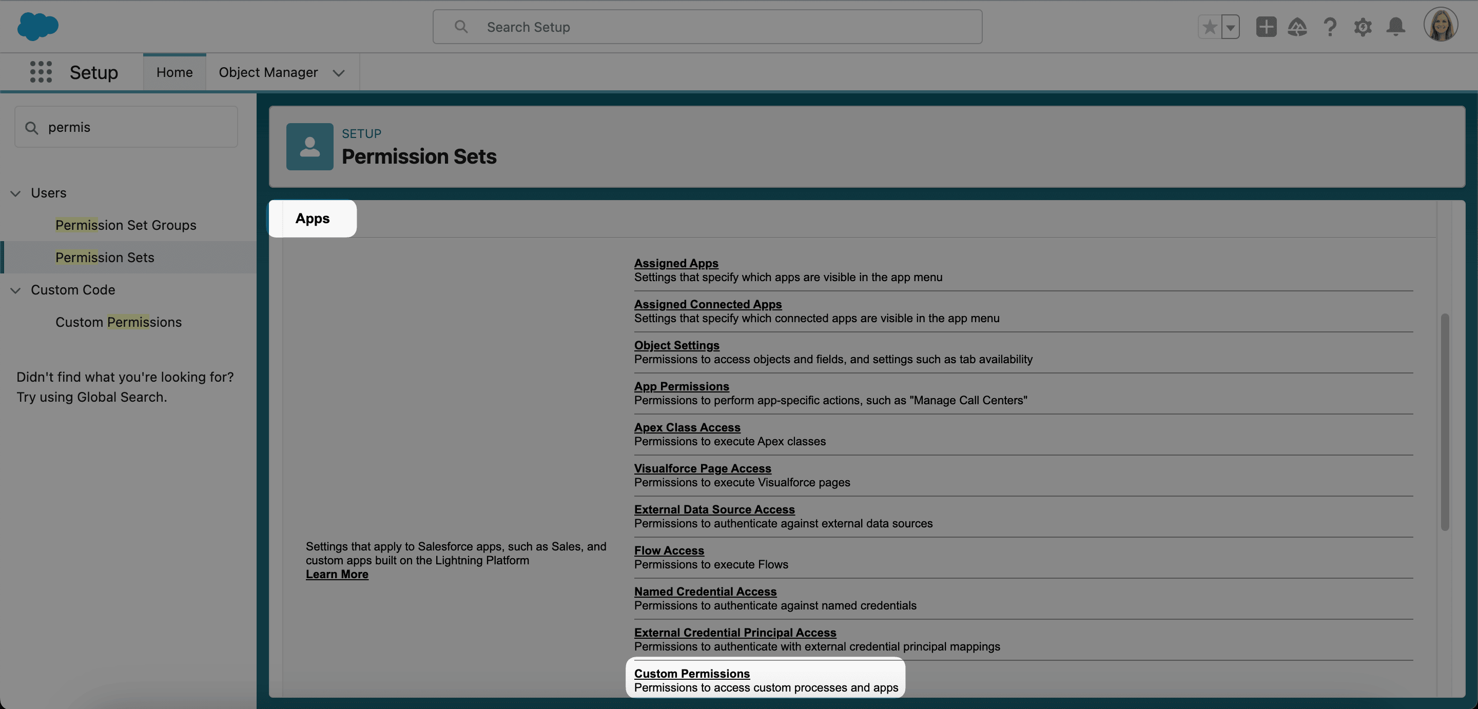 Custom Permissions option on a permission set