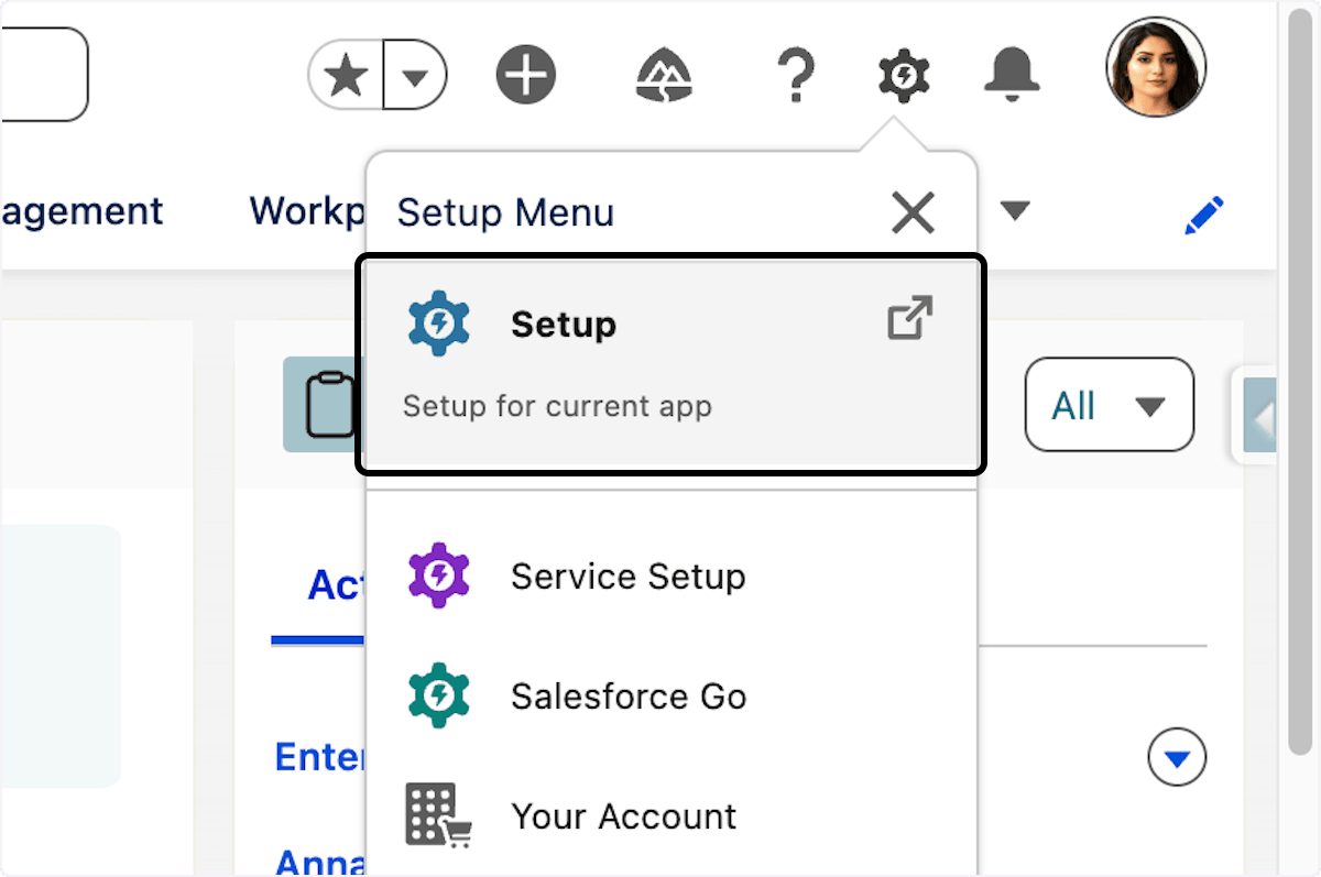 Salesforce Setup page for permission-set access