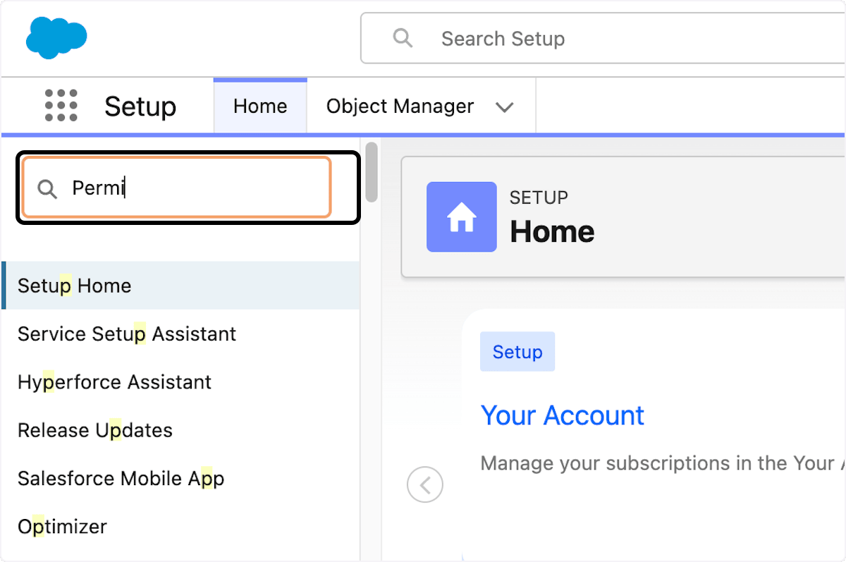 Permission search in Salesforce Setup