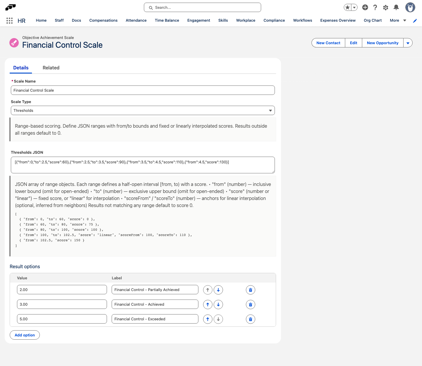 Result options table on an Achievement Scale record in Salesforce