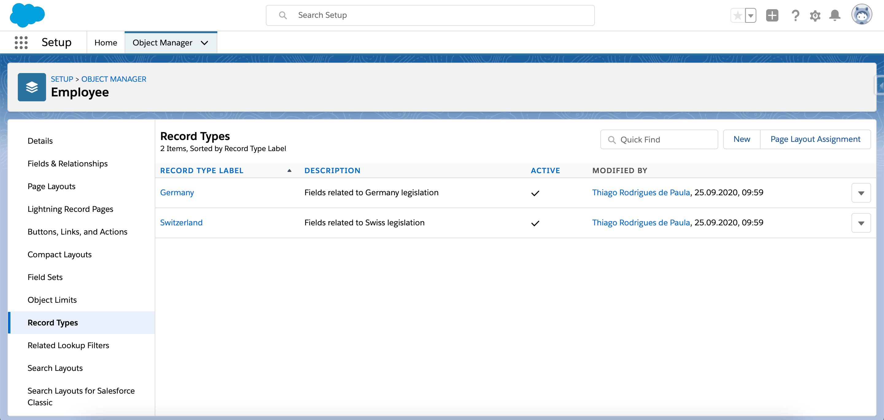Record Types option for the Employee object