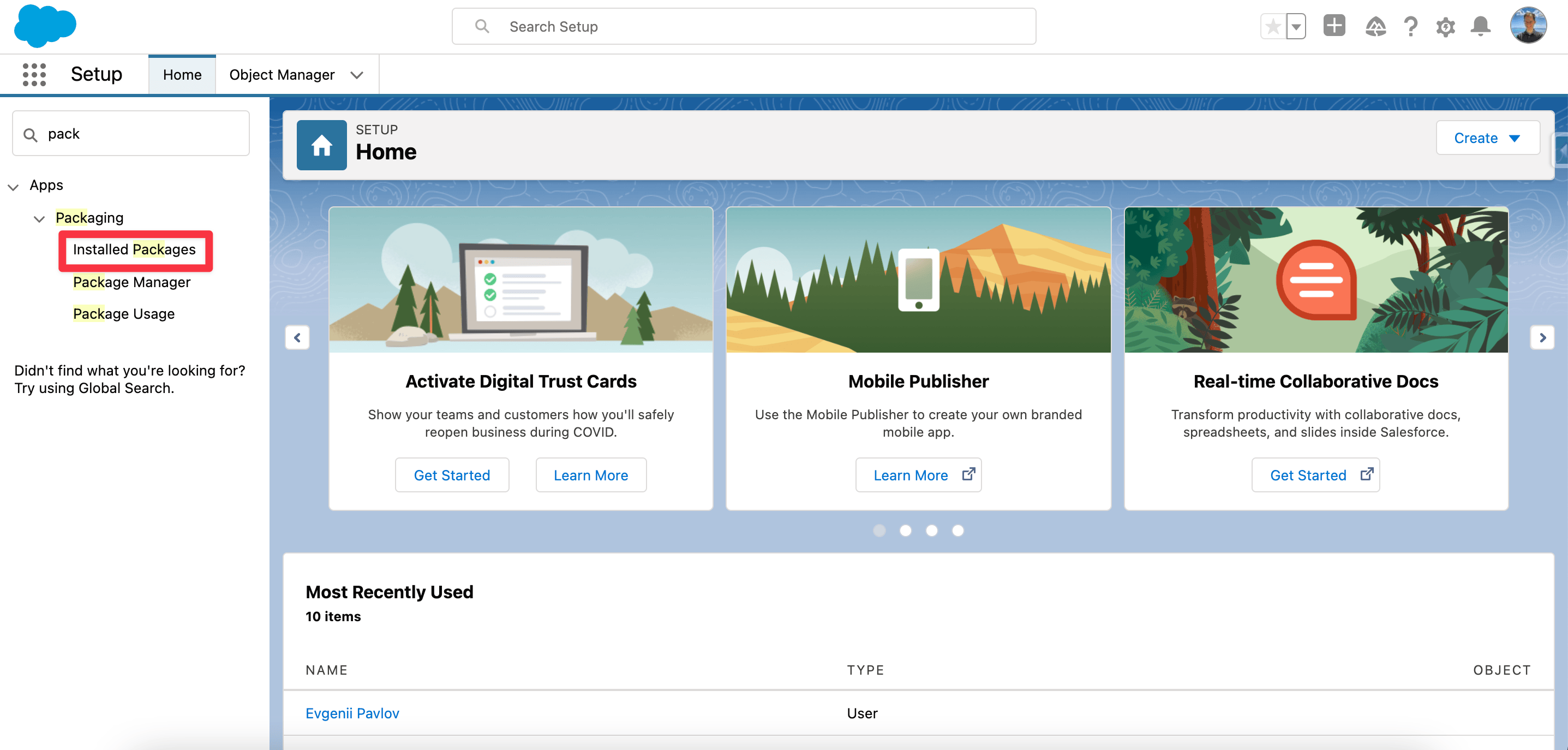 Installed Packages search result in Salesforce Setup