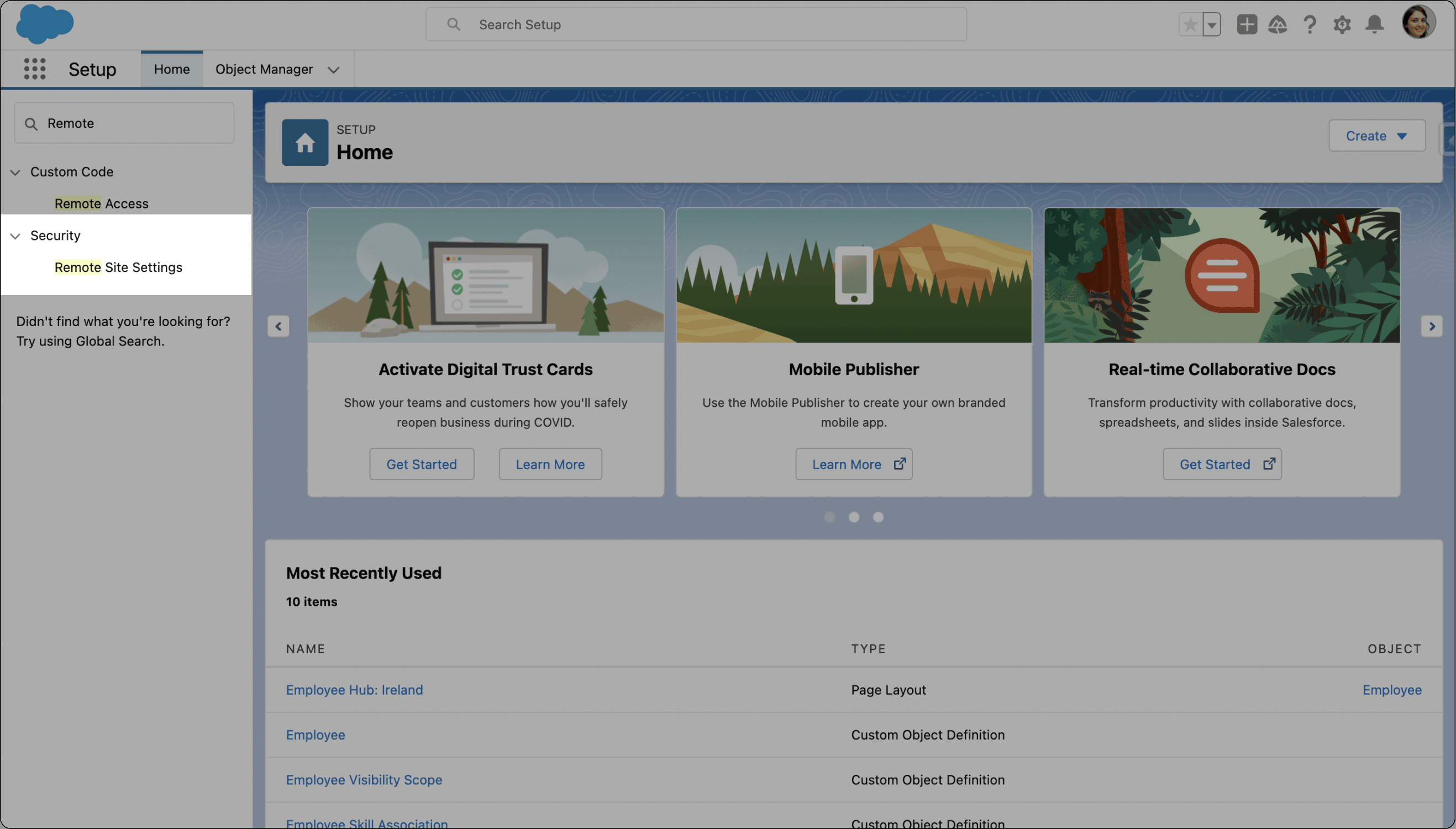 Remote Site Settings search result in Salesforce Setup