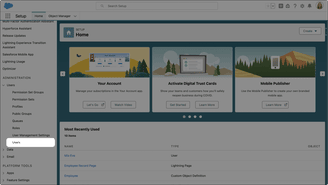 Users page in Salesforce Setup