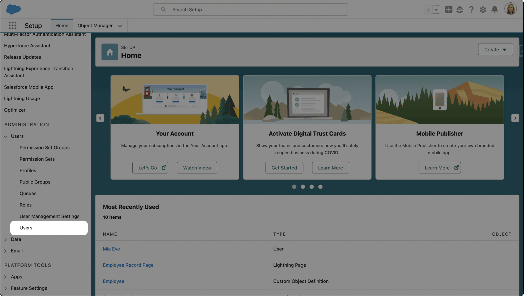 Users page in Salesforce Setup