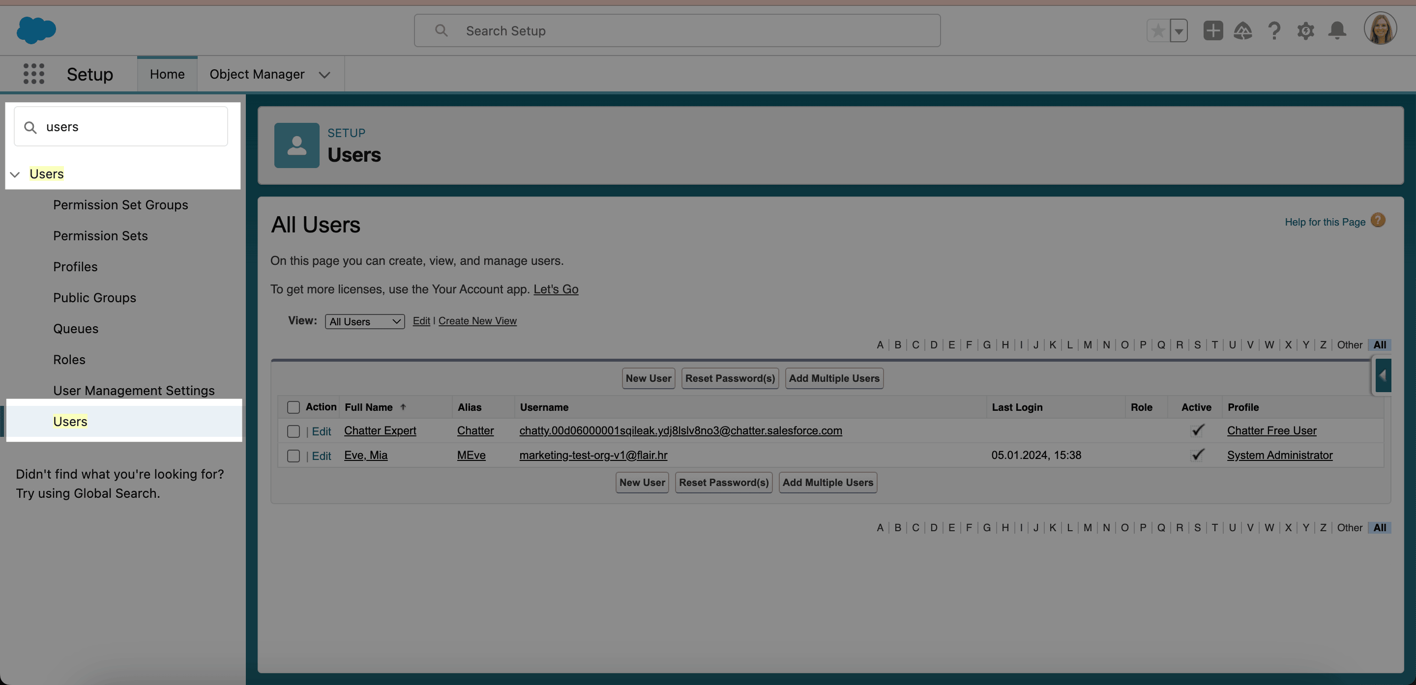 User selected in Salesforce Setup
