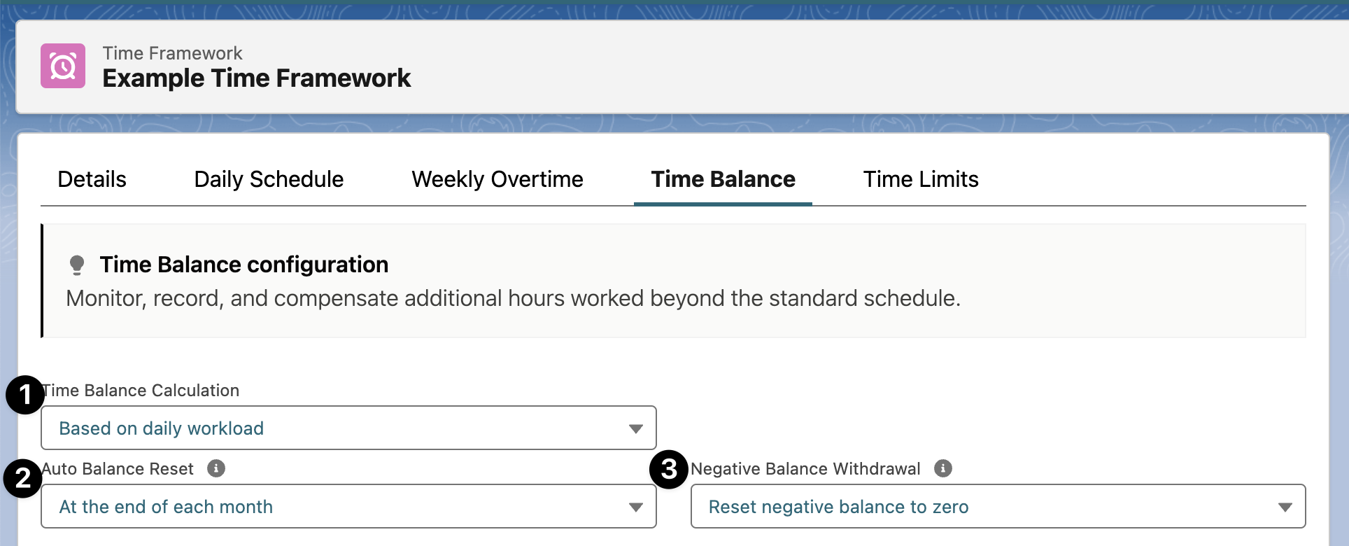 Time Balance general settings