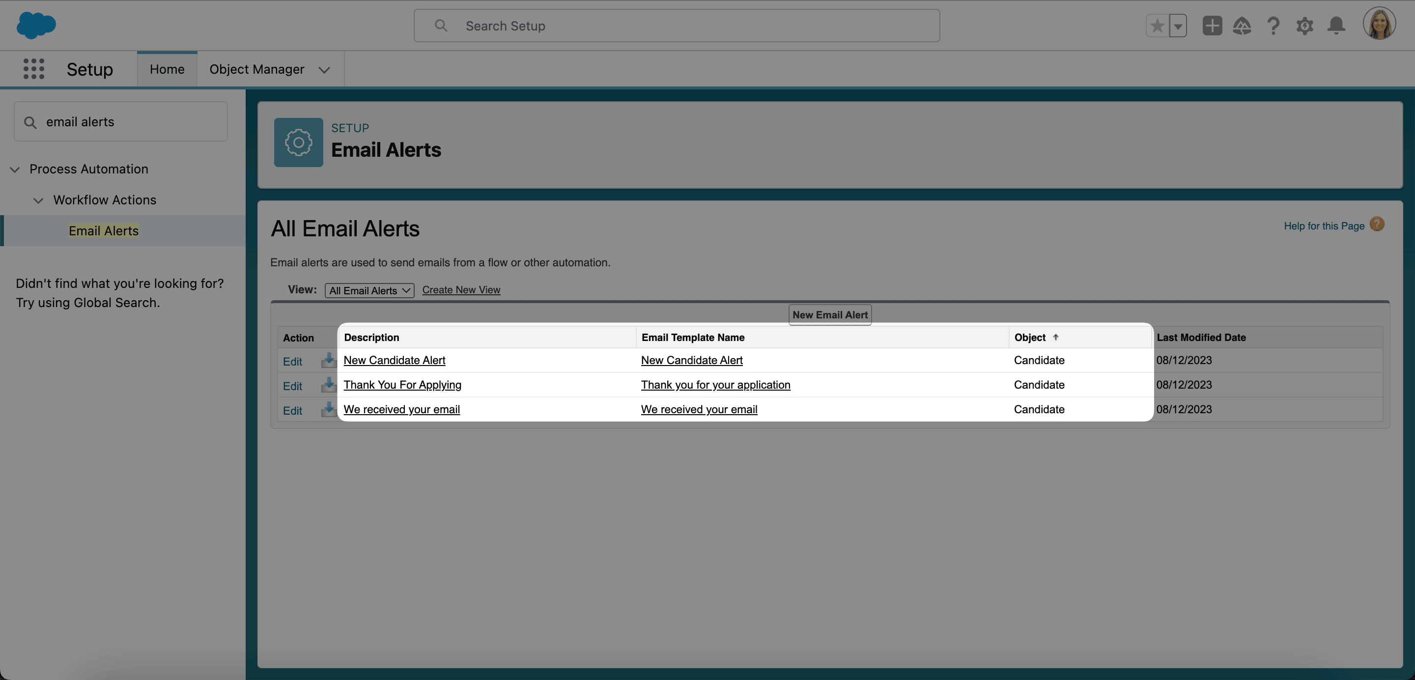 Kandidatenbezogene Alerts in der Email Alerts-Liste