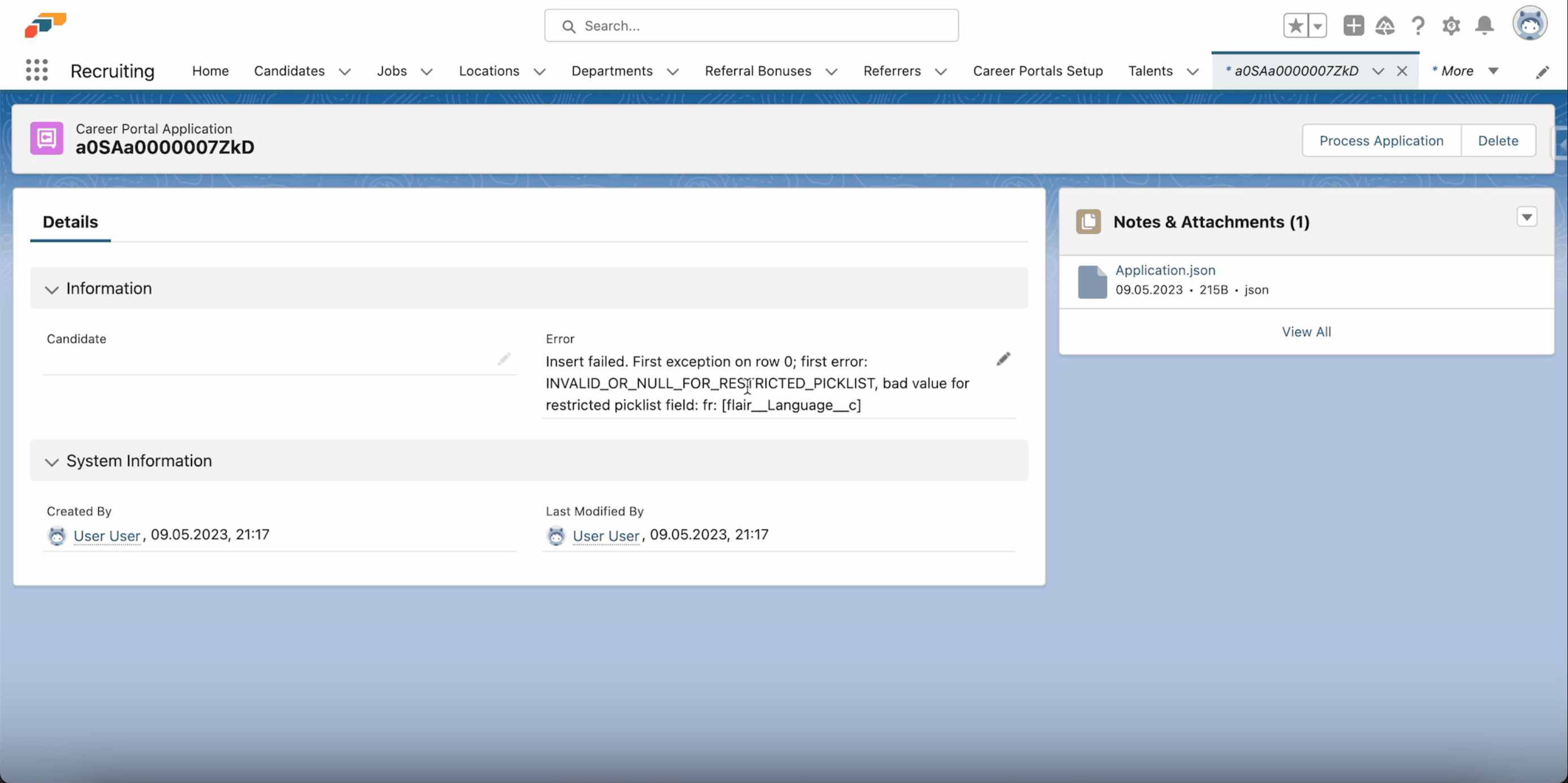 Bewerbungsfehler im Career Portal, Schritt 4 bei der Fehlerbehandlung