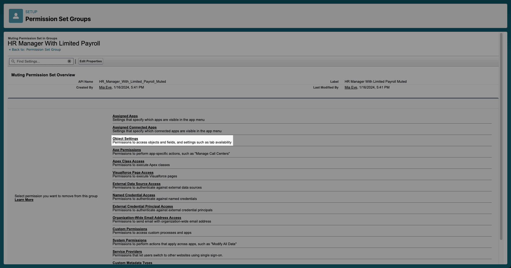 Object Settings eines Muting Permission Sets