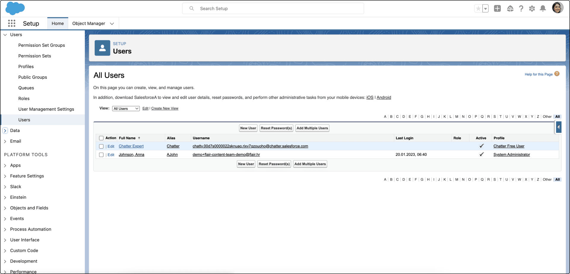 Seite Users in Salesforce Setup für einen neuen Integration User