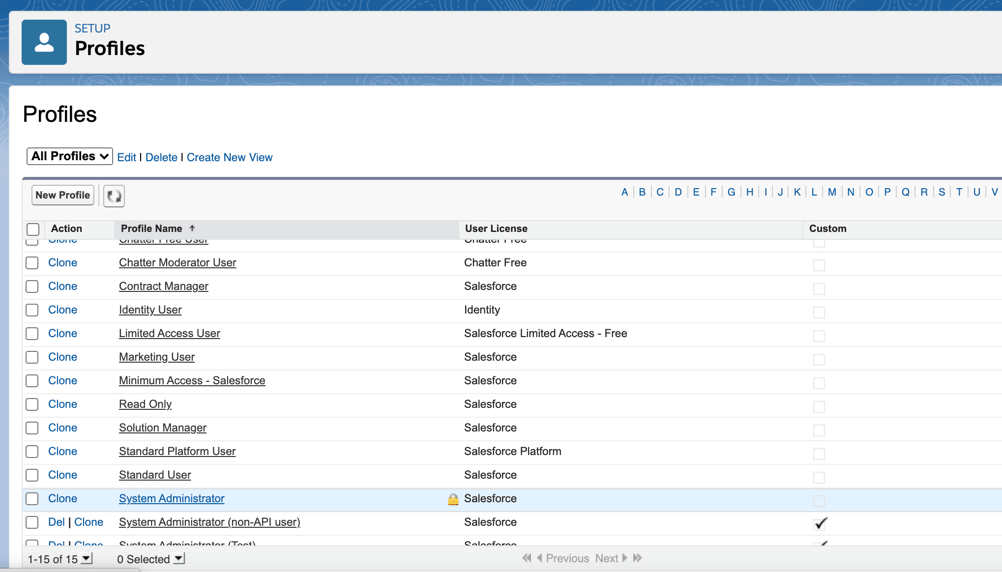Profilliste in Salesforce Setup