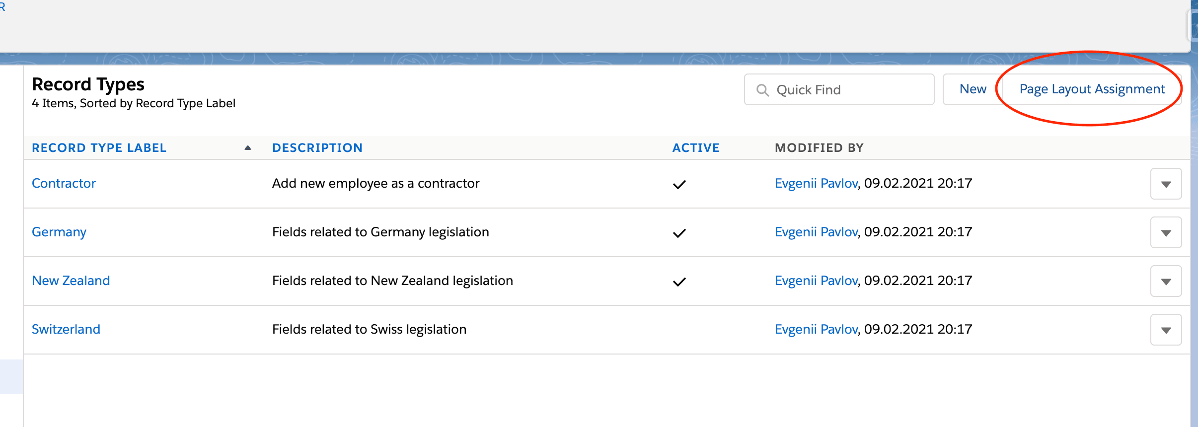 Datensatztypen und Aktion Page Layout Assignment für das Employee-Objekt