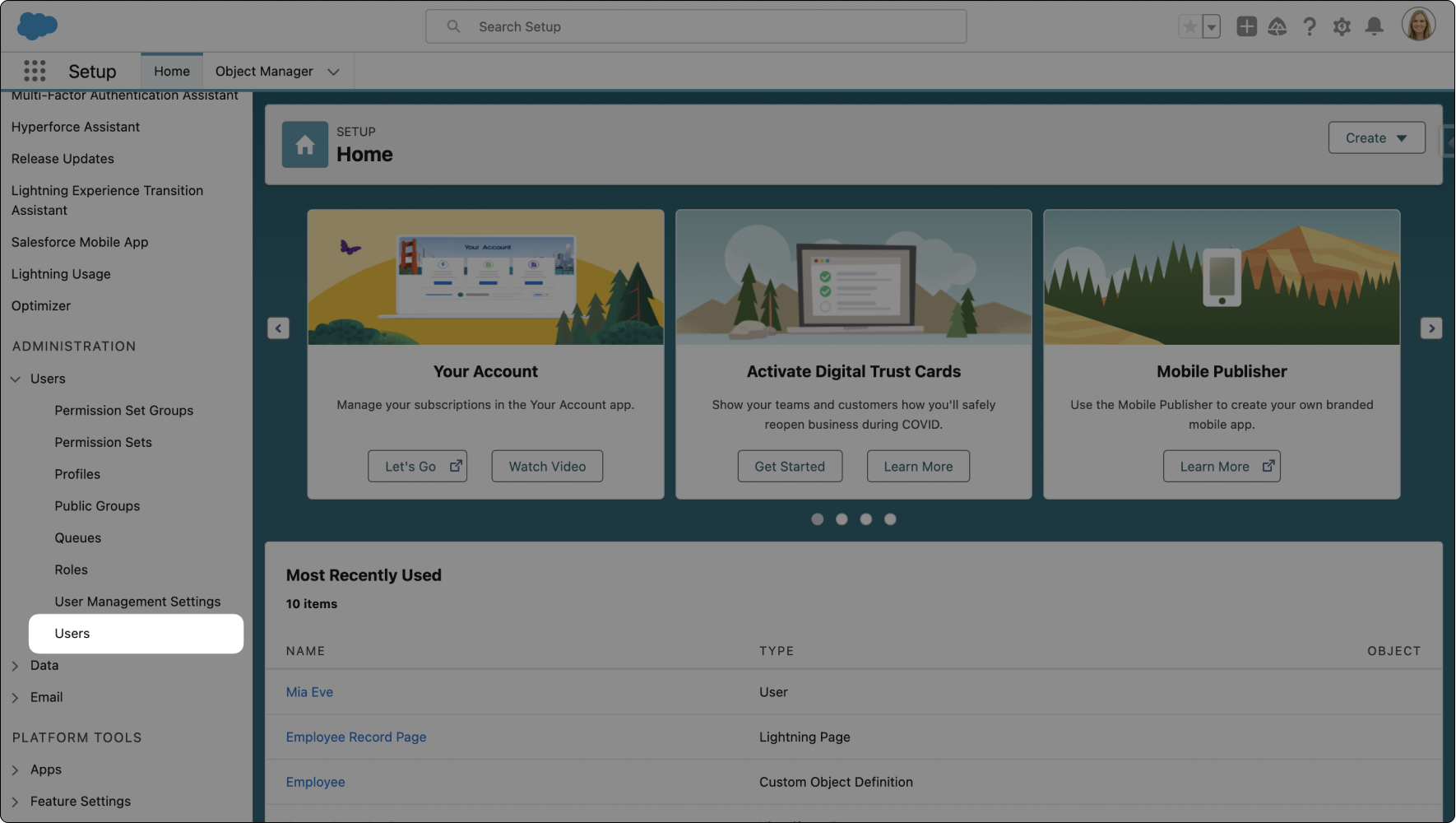 Salesforce Setup User