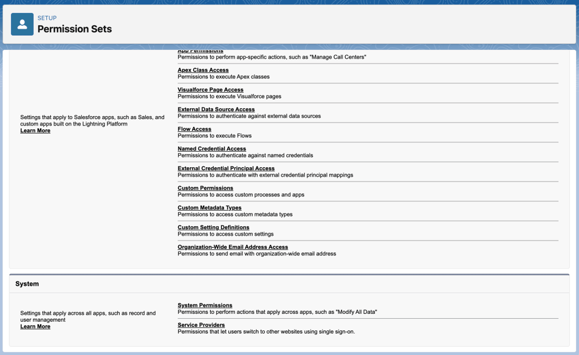 Option System Permissions in einem Permission Set