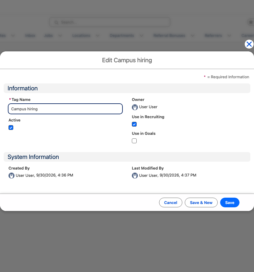 Das Tag-Bearbeitungsformular in Salesforce mit aktiviertem Aktiv und In Recruiting einsetzen und deaktiviertem In Zielen einsetzen