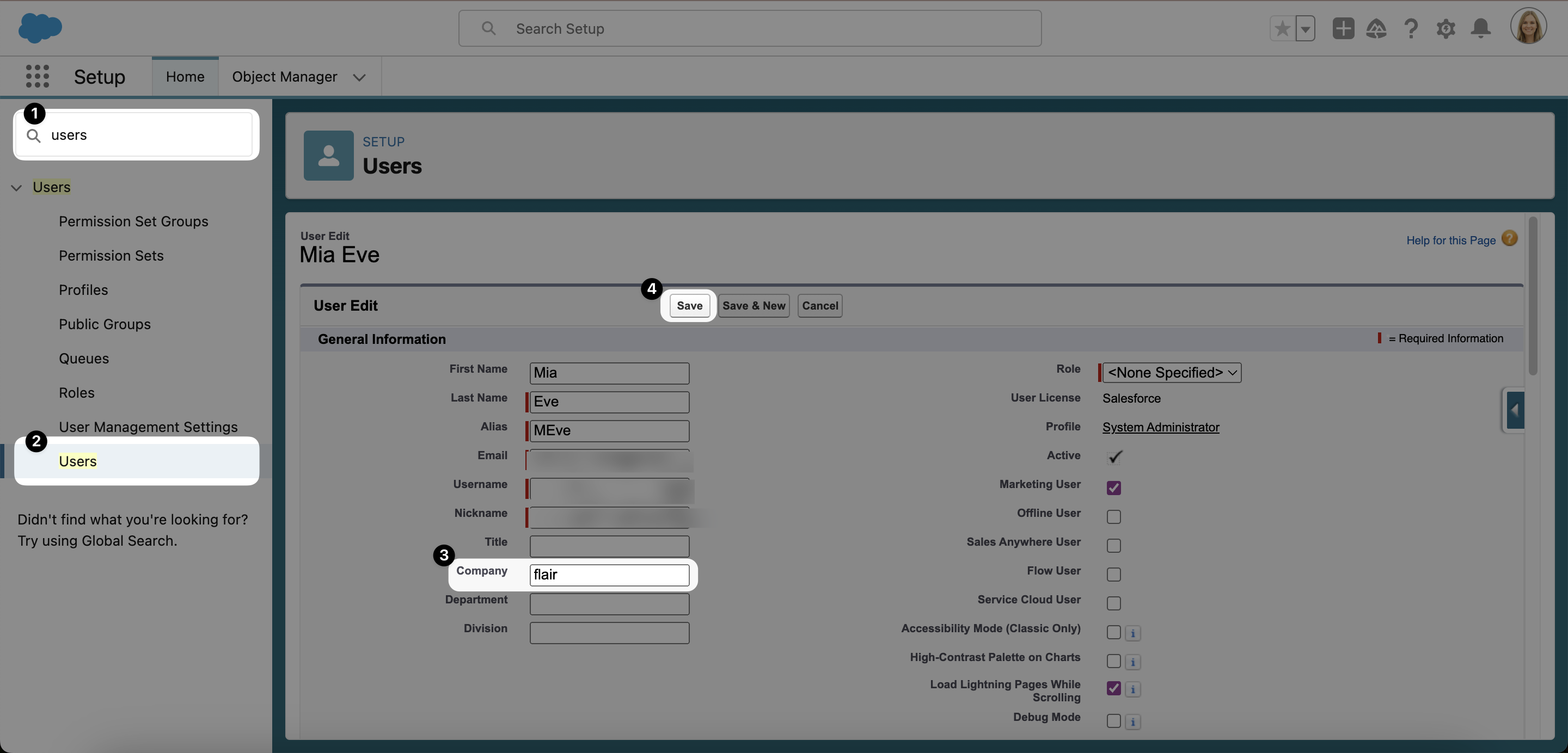 Adding company name to Salesforce User Profile